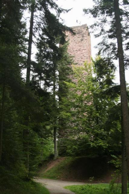 Ruine Mantelberg_0302 (Large)