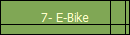 7- E-Bike