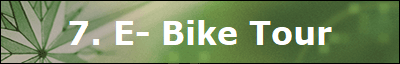 7. E- Bike Tour