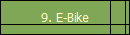 9. E-Bike